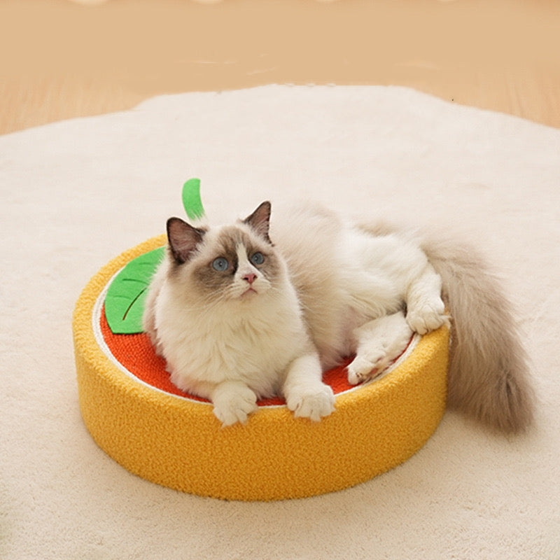 cat scratching board bed