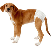 Bequeme Hygienehose für Haustiere