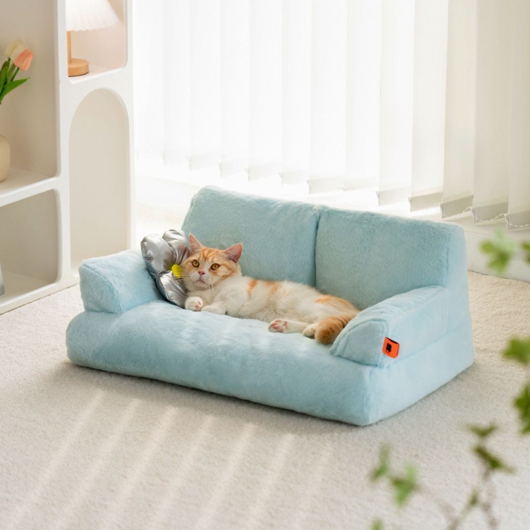 Macaron Luxurious Memory Foam Pet Sofa - Bubblepup™