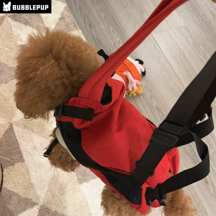 Multifunctional Pet Bag