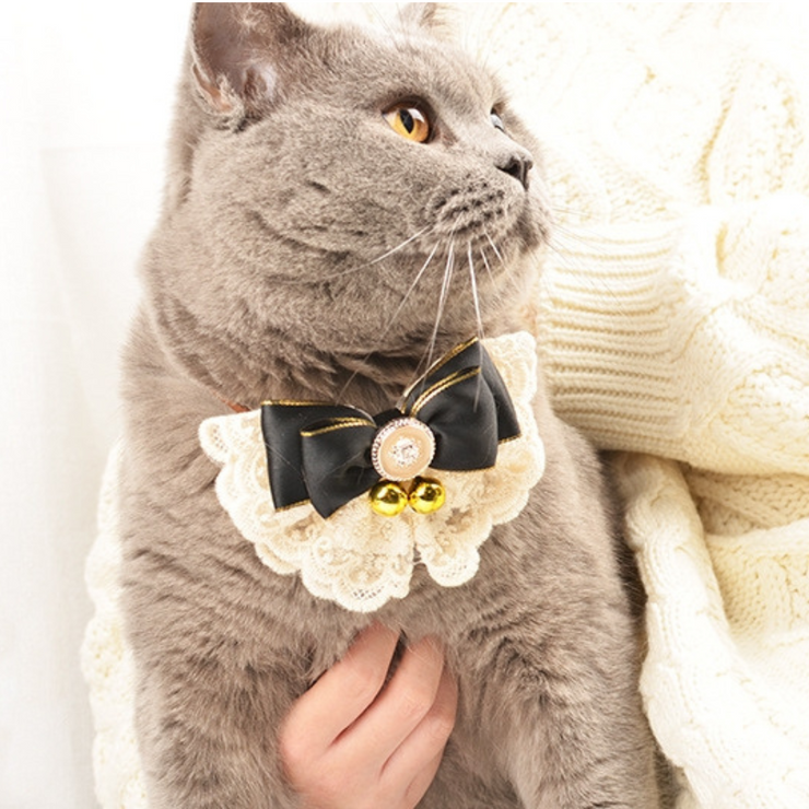 Lace Bow Collar