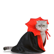 Dracula Vampire Pet Costume