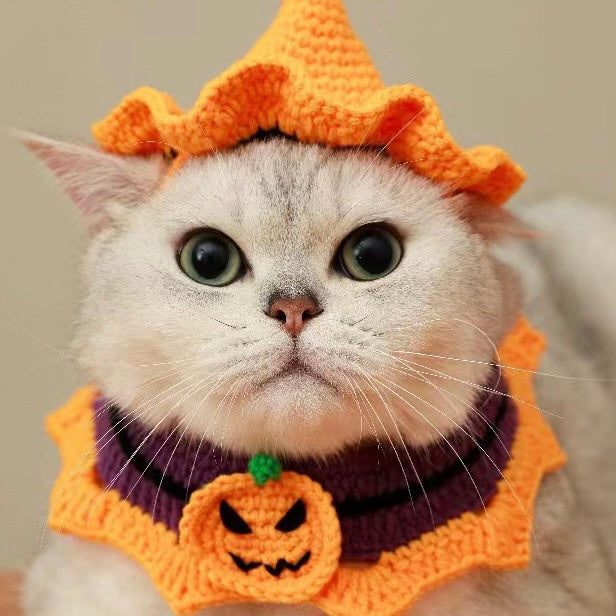Costume fatto a mano di Halloween per animali domestici